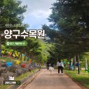 수목원박제 | 양구 가볼만한곳 양구수목원 튤립 산책 후기 (현재 휴관중)