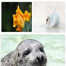 기특한한의원 | 소박한 행복, 일산한의원 기특한한의원 레몬그라스 체험기