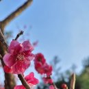 [학습카페-산격점]타로 기초반 | 타로카드배우기 타로기초과정 4월에 새롭게 시작하는 기초반 같이해요