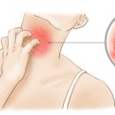 와인성형외과의원 이미지