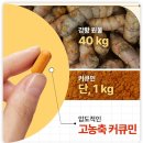 우린네이처 | 모어네이처 커큐민 강황, 효과 있을까? 내돈내산 한달 후기