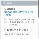 엉알게스트하우스 | 제주 애견동반 숙소 : #엉알게스트하우스 (제주도 애견동반 게스트하우스)
