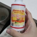 그레이스병원 | 임신 24주 임산부 임당검사 통과 후기 그레이스병원 비용 시간