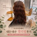 다온남성헤어 - 북구 | 내돈내산, 오산미용실 다온헤어 젤리펌과 남성컷 3년단골 후기