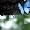 나 그대 사랑... 이미지