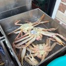 뚱수산 | 강릉 가볼만한곳(주문진 시장, 오죽헌, 커피거리 안목해변) 여행후기 1탄