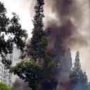 번영로12 일원 이미지