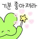 릴리안플라워 이미지