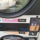 크린토피아 코인워시 염리자이점