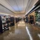 스파월드 짐 이미지