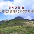6월10일(월) 한라산 영상앨범(어리목-윗세오름-영실) 이미지