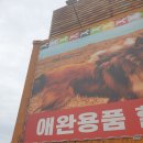 홍천강변 | 홍천 거미줄제거 간판청소 크린톡강원 크린뷰 강변 매장 거미줄 제거 작업 후기