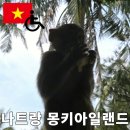 나트랑 몽키아일랜드 휠체어 방문후기 (그랩비용, 버기카, 할인 등)