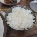 울산팀매드 | 10월 제주 동쪽여행 코스 메밀꽃 디아일랜드 블루 호텔 내돈내산 후기