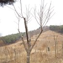 단풍농장 이미지