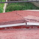 중앙공원 산책로 이미지