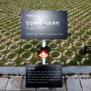 국내 여행 -:) 대구 강정보 "2016 강정 대구현대미술제" (2탄)