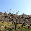 팔당물안개공원 이미지