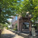 연지길 | 트렌디한 디자인의 창녕카페의자 납품한 오시우연카페