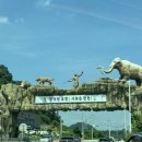 동막민박 | 연천 동막계곡 가족 피서지 추천 후기 / 한여름 물놀이 명소 / 서울 근교 계곡 / 아이랑 가기 좋은 계곡