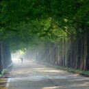 햇살좋은아침 이미지