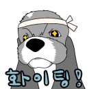 어질리티
