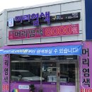 구피염색방 이미지