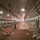 에덴양계장 이미지