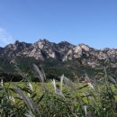 경포대주차장 이미지