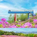 지리산허브벨리 이미지