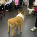 150025 | 중국 하얼빈 3일차