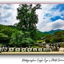 용문산자연휴양림 | 경기도 양평 가볼만한곳, 용문산 관광단지 &amp; 용문사, 천년 은행나무, 수도권에서 한시간거리 용문산...