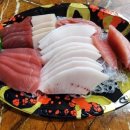 독도참치 이미지