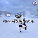용평제4차콘도미니엄(베르데힐) | 평창 모나 용평리조트 스키장 1박2일, 포인트 스키 장비렌탈샵 (리프트권 가격 비교)