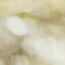 향남피부과의원 이미지