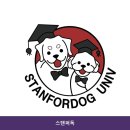 퍼독 애견호텔 | 스탠퍼독 시설 깔끔 한 곳의 이용 비용 안내