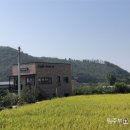 리오차드38