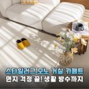 사계절세탁소 | 먼지 걱정 끝! 스타일러그 모노러그로 완성한 사계절 거실 인테리어 솔직 후기
