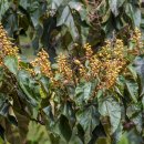 어림경로당 이미지