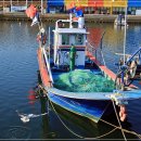 장림포구 이미지