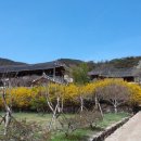 봉정사길 200게스트하우스 이미지