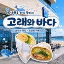 르네블루 바이 쏠비치 근처 브런치 후기 고래와 바다(구 샌드스케치)