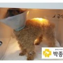 박종현동물병원 이미지