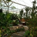 영국군 설마리전투비 이미지