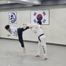 경희대박사 참태권도장 이미지