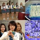 눈길안경 이미지