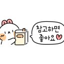 자미자미 스테이 이미지