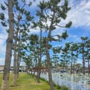 고래불 비치파크골프장 이미지