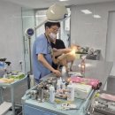 홈종합동물병원 이미지