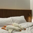 강원모텔 | 휴스테이 : 디럭스(102) 내돈내산 후기, 7사단 신교대 화천 터미널 근처 모텔 쾌적한 1층 객실 장단점 정리